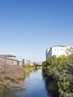 青空に広がる川沿いの秋景色 川,風景,秋の写真素材