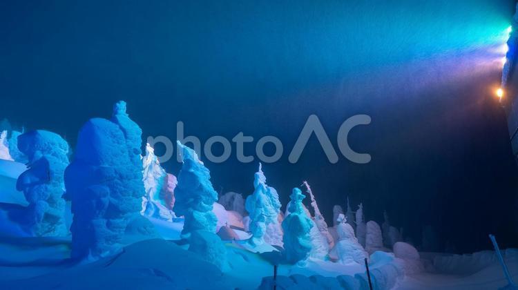 蔵王樹氷ライトアップ 蔵王樹氷ライトアップ 夜,蔵王,樹氷の写真素材