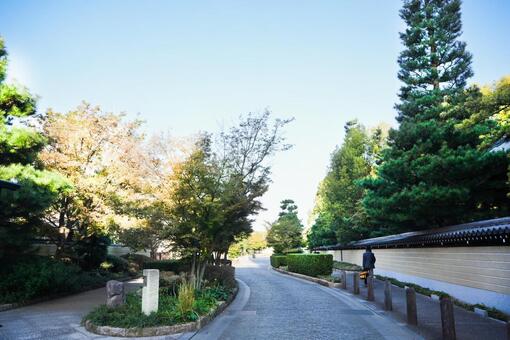 博多 博多,福岡,観光の写真素材