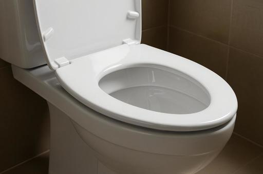 トイレの便座 トイレの便座の写真