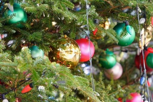 クリスマス１０ クリスマス,ツリー,モミの写真素材