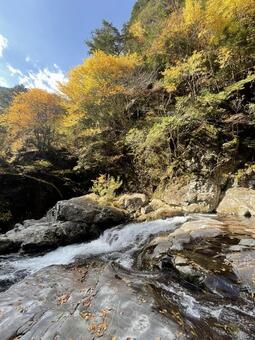 錦秋の渓谷 山,森,川の写真素材