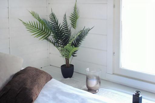 朝日が入った寝室 寝室,窓,朝の写真素材