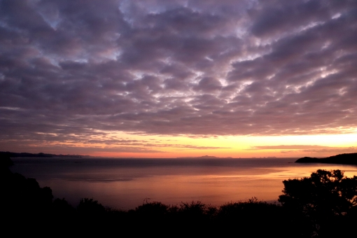 夜明け 夜明け,冬,日の出の写真素材