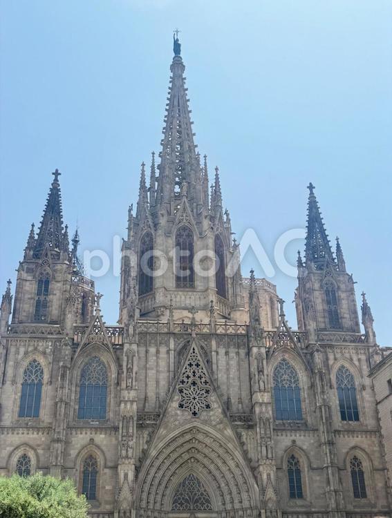 バルセロナ/サンタ・エウラリア大聖堂① スペイン,バルセロナ,ヨーロッパの写真素材
