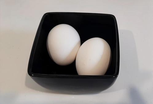 Egg, JPG Egg, JPG