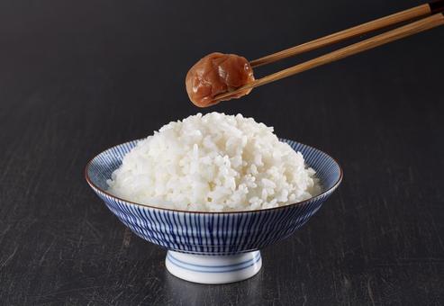 白ごはんと梅干し 白ごはんと梅干しの写真