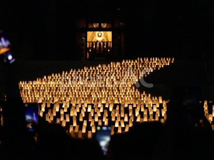 増上寺七夕まつりキャンドルとご本尊【夜】 増上寺,七夕,七夕まつりの写真素材