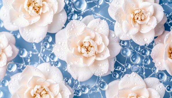 花ひらく雫の中で 花ひらく雫の中での写真