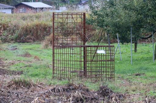 箱罠（熊罠）熊対策 箱罠,熊,クマの写真素材