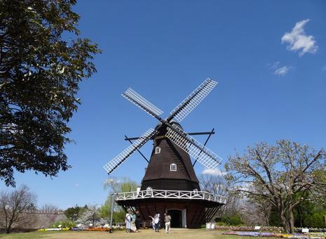 四月のアンデルセン公園-76 四月のアンデルセン公園-76 四月,ふなばしアンデルセン公園,千葉県船橋市の写真素材