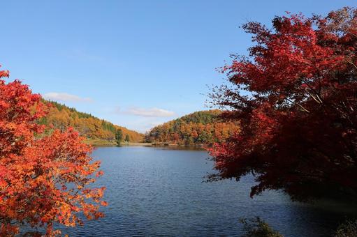 紅葉　長野県　聖湖 紅葉,湖,長野県の写真素材