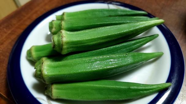 オクラ オクラ オクラ,おくら,野菜の写真素材