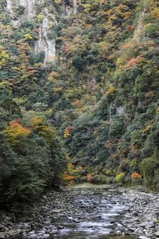 香落渓 紅葉 香落渓 紅葉 香落渓,紅葉,ハイキングの写真素材