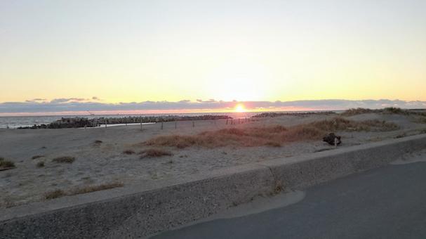 遠州灘の海岸線に沈む夕陽 遠州灘の海岸線に沈む夕陽 遠州灘,夕陽,海岸の写真素材