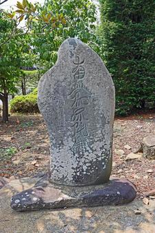 泉龍寺(松本) 泉龍寺(松本)の写真