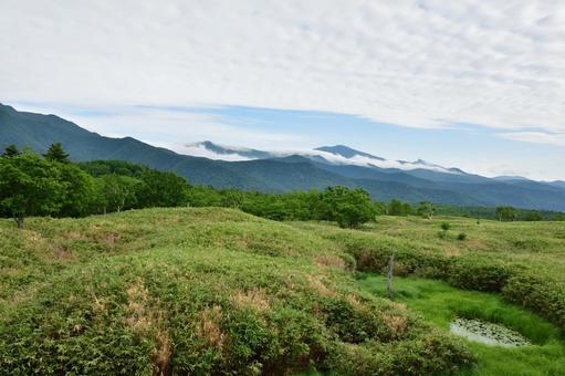 知床の風景 知床の風景 知床,北海道,世界遺産の写真素材