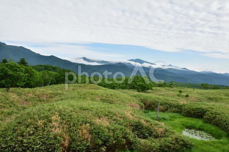 知床の風景 知床,北海道,世界遺産の写真素材