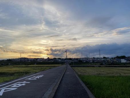 夕方 一本道 夕方 一本道の写真