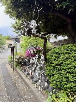 平井聖天　燈明寺　おみくじを結ぶ 墓地,霊園,お墓参りの写真素材