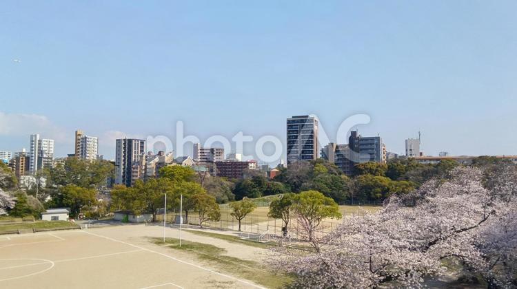景色　-　中央区　舞鶴公園 景色,桜,咲くの写真素材
