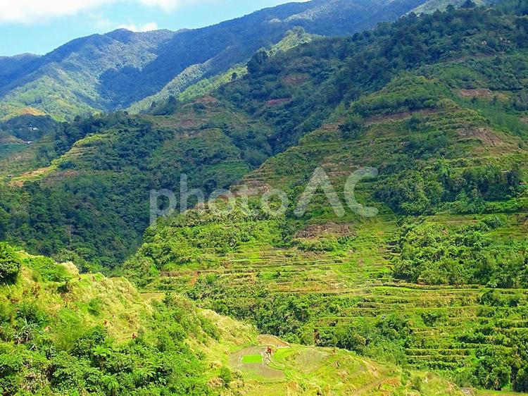 イフガオ州バナウエ町のビューポイント棚田 フィリピン,イフガオ,バナウエの写真素材