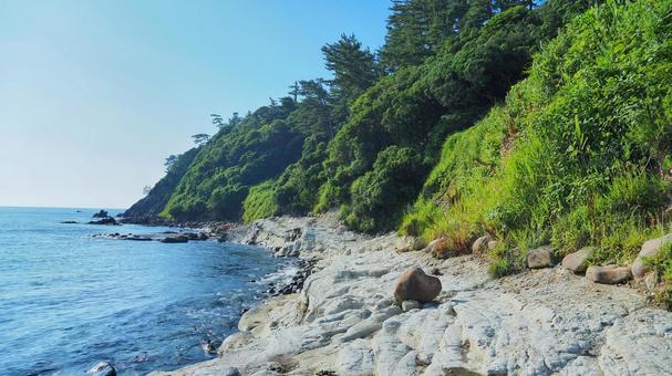 東尋坊 東尋坊 東尋坊,海,海岸の写真素材