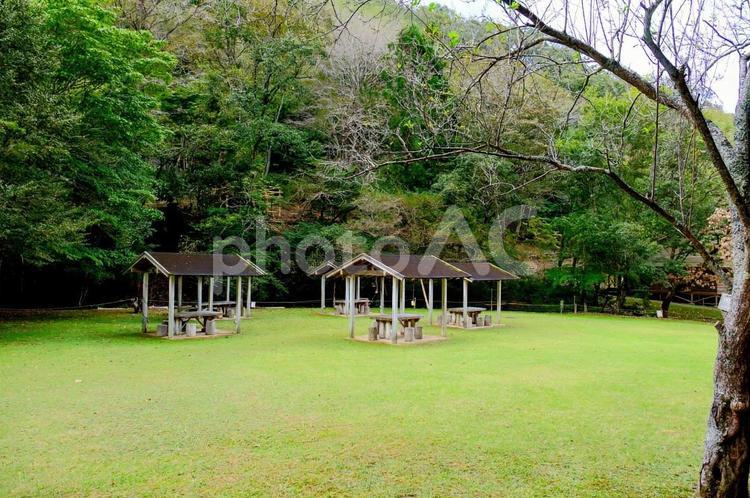 兵庫県立ゆめさきの森公園 山,木々,池の写真素材