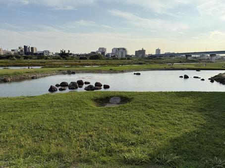 都会の河原 都会の河原 土手,河原,自然の写真素材