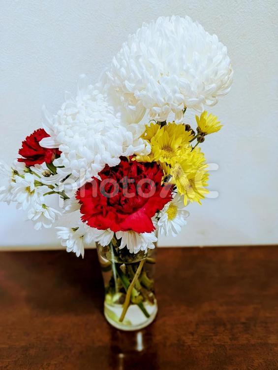 赤いカーネーションと白と黄色の菊の写真 カーネーション,菊,赤の写真素材