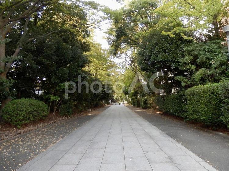 【風景写真】曹洞宗大本山總持寺の風景 總持寺,諸嶽山,曹洞宗の写真素材