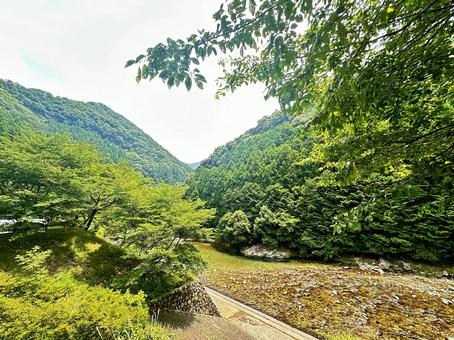 下北山村 自然 観光 下北山村 自然 観光の写真