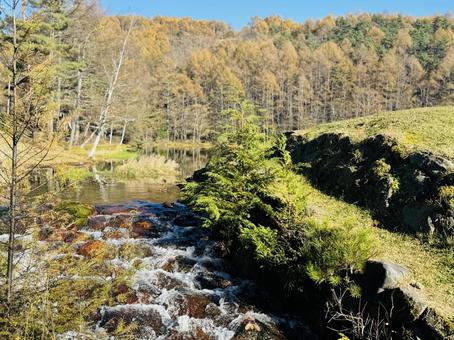 小川のある風景 自然,川,湖の写真素材