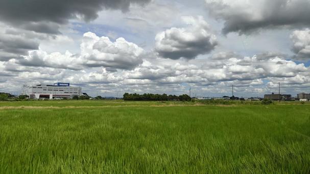 田んぼ 田んぼ 田,田んぼ,景色の写真素材