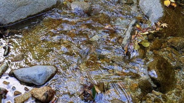 石が彩る浅瀬の秋 今治市,鈍川渓谷,木の写真素材