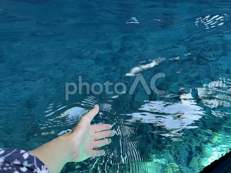 美しい自然光で光る洞窟の水 メリッサニ洞窟,天井,探検の写真素材
