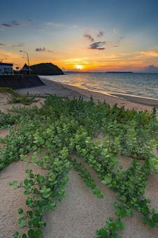 海岸沿いから眺める夕暮れ 海岸沿いから眺める夕暮れの写真