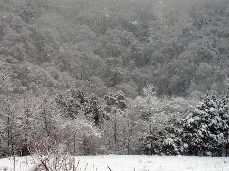 雪国 雪国の写真