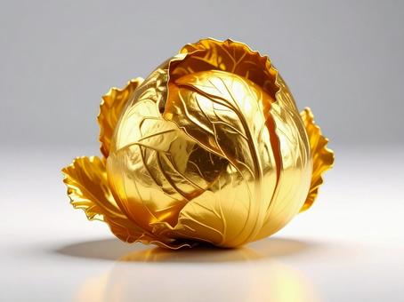 金のキャベツ 金のキャベツの写真
