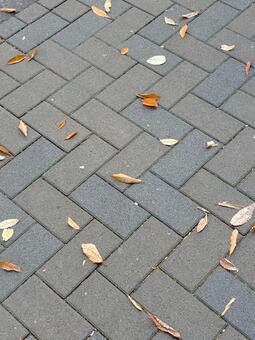 冬の歩道にけやきの落ち葉 落ち葉,枯れ葉,歩道の写真素材