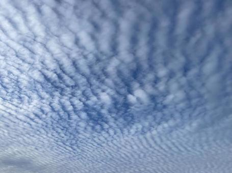 鱗雲 鱗雲の写真