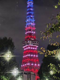 夜空を彩る赤青のタワー 夜景,タワー,ライトアップの写真素材
