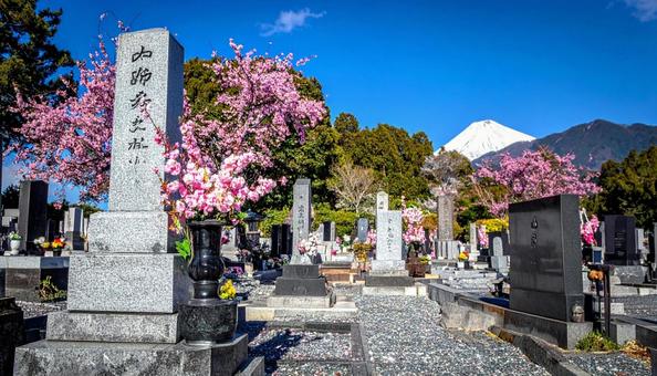 桜が咲く霊園 桜が咲く霊園の写真