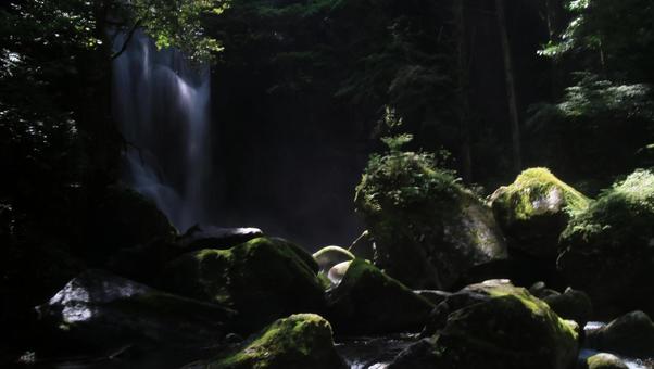 桑の木の滝 桑の木の滝 桑の木の滝,滝,自然の写真素材