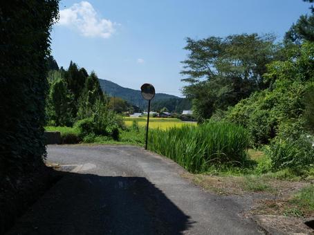 高野山 町石道 高野山 町石道の写真