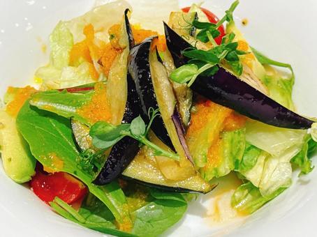 野菜 野菜の写真