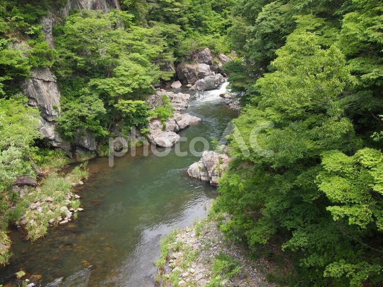 山梨の渓流 渓流,渓流釣り,トレッキングの写真素材