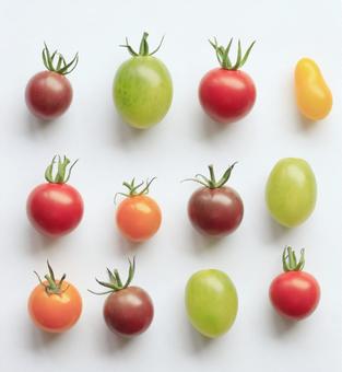 ミニトマト ミニトマト ミニトマト,トマト,食べ物の写真素材