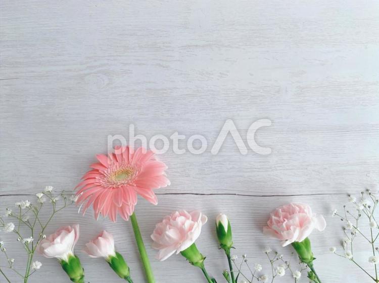 ピンク系の花と白木目の背景素材 花背景,花フレーム,春の花の写真素材