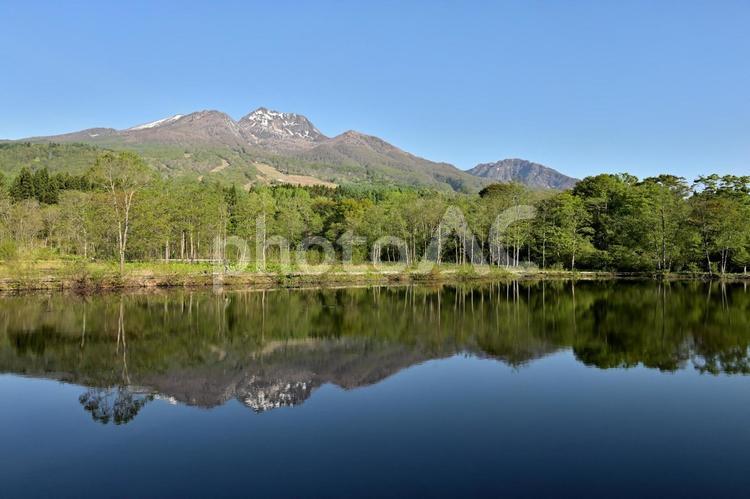 新緑の妙高山　いもり池からの景色 妙高山,いもり池,妙高高原の写真素材